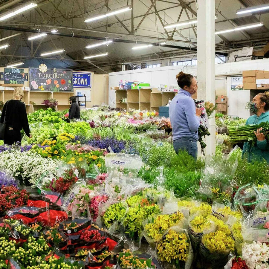 Floral Transportation